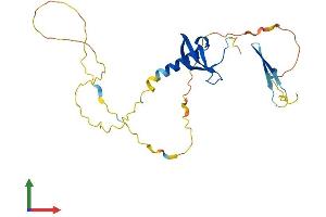 Protein Structure (PS) image for Chromobox Homolog 7 (CBX7) (AA 1-251) protein (His tag) (ABIN7552926)