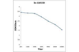 Antigen: 2 µg/100 µL  Primary: Antiserum, 1:500, 1:1000, 1:2000, 1:4000, 1:8000, 1:16000, 1:32000;  Secondary: HRP conjugated Rabbit Anti-Goat IgG at 1: 5000;  TMB staining Read the data in Microplate Reader by 450nm. (BFSP2 抗体  (AA 181-280))