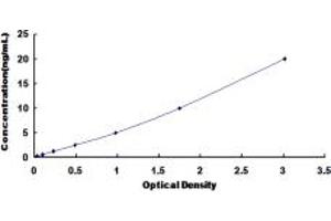 Typical standard curve (PYGM ELISA 试剂盒)