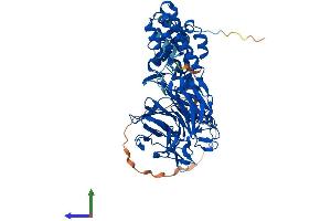 Protein Structure (PS) image for Kelch-Like 14 (KLHL14) (AA 1-630) protein (His tag) (ABIN7557887)