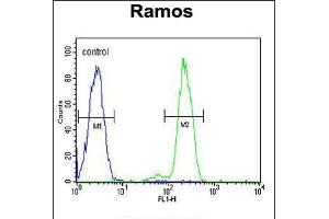 Flow cytometric analysis of Ramos cells (right histogram) compared to a negative control cell (left histogram). (DCP1B 抗体  (AA 261-290))