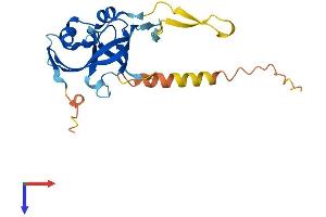 AlphaFold protein structure predicition of Mouse Recombinant Arpin Protein, UniprotID Q9D0A3 (ARPIN Protein (AA 1-226) (His tag))
