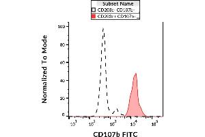 Flow cytometry analysis (surface staining) of IgE-stimulated human peripheral blood with anti-CD107b (H4B4) FITC. (LAMP2 抗体  (FITC))