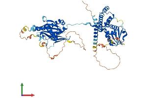 Protein Structure (PS) image for Folliculin (FLCN) (AA 1-579) protein (His tag) (ABIN7559596)
