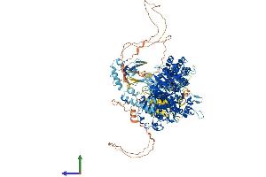 AlphaFold protein structure predicition of Human Recombinant MSH6 Protein, UniprotID P52701