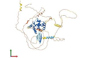 Protein Structure (PS) image for AT Rich Interactive Domain 3B (BRIGHT-Like) (ARID3B) (AA 1-568) protein (His tag) (ABIN7556389)