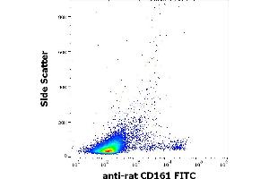 Flow cytometry surface staining pattern of rat splenocytes stained using anti-rat CD161 (10/78) FITC antibody (concentration in sample 1 μg/mL).