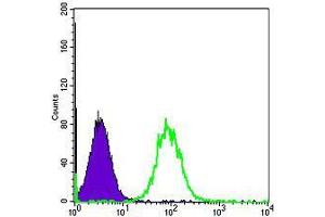 Flow Cytometry (FACS) image for anti-Heat Shock Protein 90kDa alpha (Cytosolic), Class B Member 1 (HSP90AB1) antibody (ABIN969202)