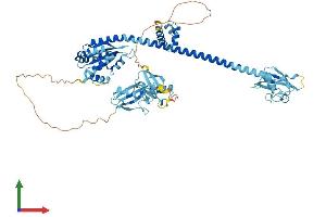 AlphaFold protein structure predicition of Human Recombinant FAF1 Protein, UniprotID Q9UNN5