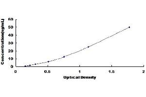 Typical Standard Curve (CD93 ELISA 试剂盒)