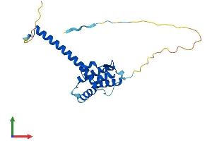 Protein Structure (PS) image for Chromosome 4 Open Reading Frame 43 (C4orf43) (AA 1-221) protein (His tag) (ABIN7560596)