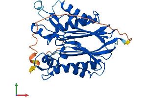 AlphaFold protein structure predicition of Mouse Recombinant Pptc7 Protein, UniprotID Q6NVE9