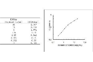 ELISA image for Angiotensin I Converting Enzyme (Peptidyl-Dipeptidase A) 1 (ACE) ELISA Kit (ABIN579266)