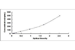 ELISA image for Complement Factor H (CFH) ELISA Kit (ABIN415452)