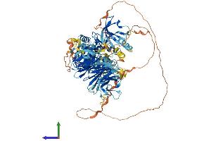 Protein Structure (PS) image for Mitogen-Activated Protein Kinase Kinase Kinase Kinase 5 (MAP4K5) (AA 1-847) protein (His tag) (ABIN7558803)