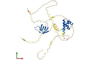 AlphaFold protein structure predicition of Mouse Recombinant Sash3 Protein, UniprotID Q8K352