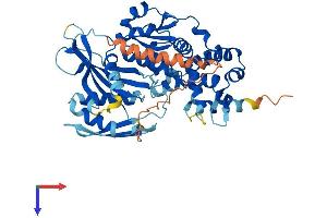 AlphaFold protein structure predicition of Human Recombinant DENND2D Protein, UniprotID Q9H6A0
