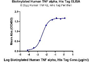 ELISA image for Tumor Necrosis Factor alpha (TNF alpha) (AA 77-233) protein (His-Avi Tag,Biotin) (ABIN7275767)