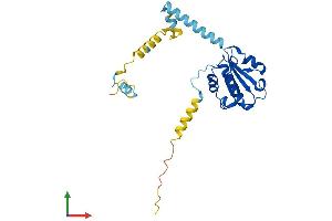 Protein Structure (PS) image for Phosducin-Like 2 (PDCL2) (AA 1-241) protein (His tag) (ABIN7550585)