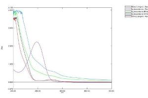 Image no. 1 for Cortisol protein (Ovalbumin) (ABIN3201198)