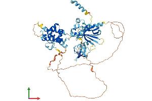 AlphaFold protein structure predicition of Human Recombinant EPS8L3 Protein, UniprotID Q8TE67