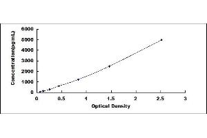 Typical standard curve (Kallikrein 7 ELISA 试剂盒)