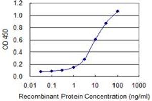 Detection limit for recombinant GST tagged UVRAG is 0. (UVRAG 抗体  (AA 601-699))