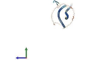 Protein Structure (PS) image for Keratin 8 (KRT8) (AA 1-490) protein (His tag) (ABIN7562840)
