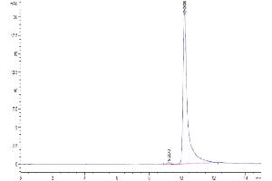 Size-exclusion chromatography-High Pressure Liquid Chromatography (SEC-HPLC) image for Chemokine (C-C Motif) Ligand 7 (CCL7) (AA 24-99) protein (His tag) (ABIN7274041)
