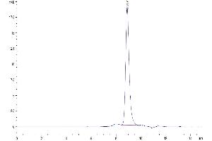 The purity of Mouse RGM-C is greater than 95 % as determined by SEC-HPLC.
