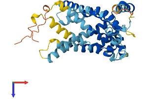 AlphaFold protein structure predicition of Mouse Recombinant Slc25a44 Protein, UniprotID Q8BGF9 (SLC25A44 Protein (AA 1-314) (His tag))