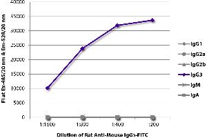 FLISA plate was coated with purified mouse IgG1, IgG2a, IgG2b, IgG3, IgM, and IgA. (大鼠 anti-小鼠 IgG3 Antibody (FITC))