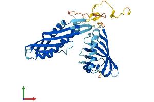 Protein Structure (PS) image for Activator of HSP90 ATPase Activity 1 (AHSA1) (AA 1-338) protein (His tag) (ABIN7552013)
