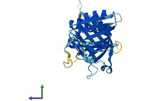 Protein Structure (PS) image for HUS1 Checkpoint Homolog (S. Pombe) (HUS1) (AA 1-280) protein (His tag) (ABIN7554143)