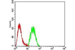 Flow cytometric analysis of Hela cells using EZH1 mouse mAb (green) and negative control (red). (EZH1 抗体  (AA 135-294))