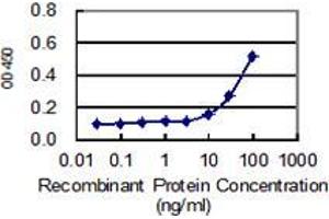 Detection limit for recombinant GST tagged SLC27A5 is 3 ng/ml as a capture antibody. (SLC27A5 抗体  (AA 90-175))