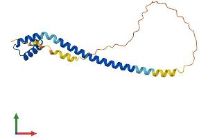 Protein Structure (PS) image for DPY30 Domain Containing 2 (DYDC2) (AA 1-177) protein (His tag) (ABIN7547314)