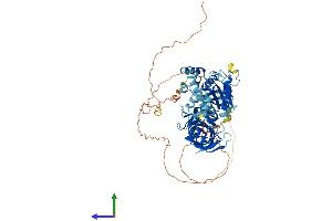 AlphaFold protein structure predicition of Mouse Recombinant Hbs1l Protein, UniprotID Q69ZS7
