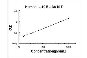 Interleukin 19 (IL19) ELISA Kit