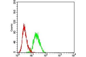 Flow cytometric analysis of HL-60 cells using CD230 mouse mAb (green) and negative control (red). (PRNP 抗体  (AA 23-230))