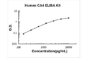 Typical Standard Curve