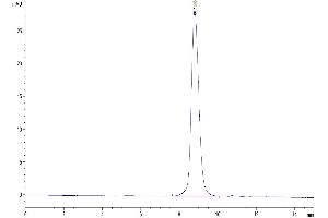 The purity of Mouse CD47 is greater than 95 % as determined by SEC-HPLC.