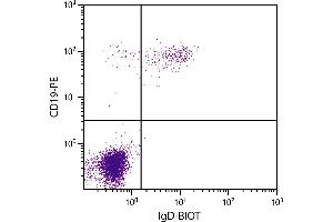 Human peripheral blood lymphocytes were stained with Mouse Anti-Human IgD-BIOT. (小鼠 anti-人 IgD Antibody (Biotin))