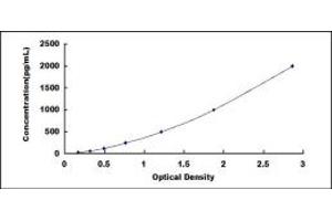 Typical standard curve (IDO2 ELISA 试剂盒)