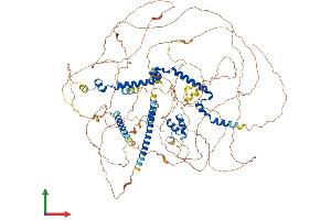 AlphaFold protein structure predicition of Mouse Recombinant Mrtfb Protein, UniprotID P59759