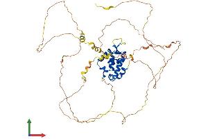 Protein Structure (PS) image for Forkhead Box N4 (FOXN4) (AA 1-517) protein (His tag) (ABIN7553963)