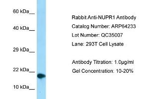 Western Blotting (WB) image for anti-Nuclear Protein, Transcriptional Regulator, 1 (NUPR1) (C-Term) antibody (ABIN971307) (NUPR1 抗体  (C-Term))
