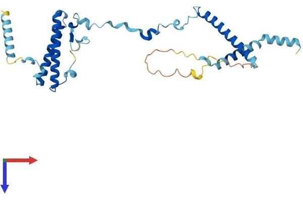 ISY1 Protein (AA 1-285) (His tag)