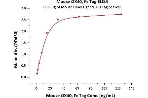 Immobilized Mouse OX40 Ligand, His Tag (ABIN5674649,ABIN6253698) at 0.