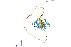 Protein Structure (PS) image for Calcium Binding Protein 4 (CABP4) (AA 1-275) protein (His tag) (ABIN7552754)